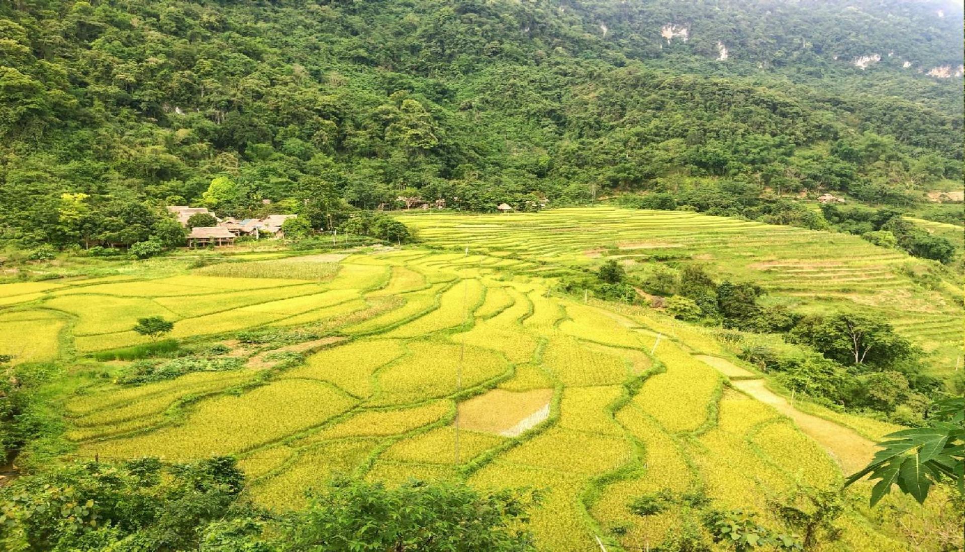 Pu Luong Homestay & Tours Huong Ba Thuoc Екстер'єр фото